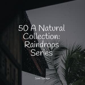 50 A Natural Collection: Raindrops Series - Rain Sounds & White Noise