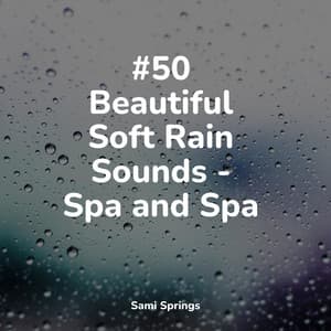 #50 Beautiful Soft Rain Sounds - Spa and Spa - Meditative Music Guru