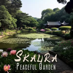 Skaura Peaceful Garden: Immersive Relaxation Through Japanese Nature - Serenity Nature Sounds Academy