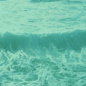 Music for Wellness - Sparkling Bossanova - Dinner Music