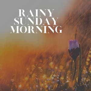 Rainy Sunday Morning - Rain Sounds & Nature Sounds