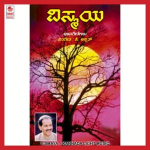 Vismaya - B. R. Chaya