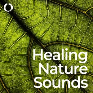 Healing Nature Sounds: Stress Relief and Well-being - Chanting Buddhist World