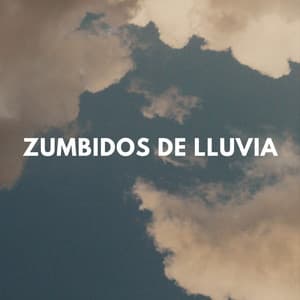 Zumbidos De Lluvia - Sonidos de lluvia pesada