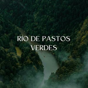 Río De Pastos Verdes - Sonidos de agua y río