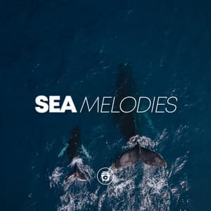 Sea Melodies - Sounds Of Nature