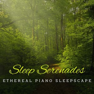Piano Dreamscapes: Nature's Sleep Serenades - Relaxing Piano Radio