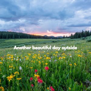 Another beautiful day outside - Smooth Dinner Jazz Group