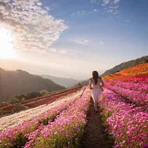 Confort Suave: Música Para La Serenidad - Sonidos infinitos