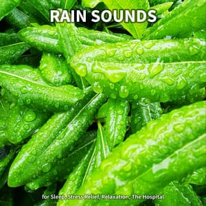 #1 Rain Sounds for Sleep, Stress Relief, Relaxation, The Hospital - Rain Sounds