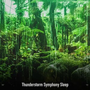 !!!!" Thunderstorm Symphony Sleep "!!!! - Sonidos De Truenos y Lluvia