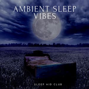 Ambient Sleep Vibes: Gentle Tunes for Rest - Sleep Aid Club