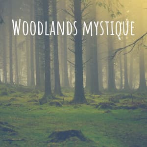 Woodlands Mystique - Rain Sound Plus