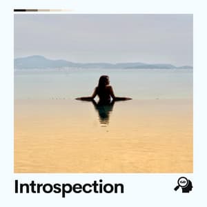 Introspection - Healing Music Spirit