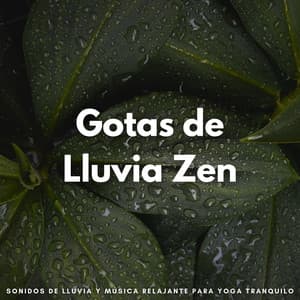 Gotas De Lluvia Zen: Sonidos De Lluvia Y Música Relajante Para Yoga Tranquilo - Ambiente Meteorológico