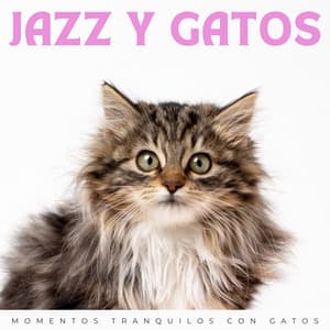 Jazz Y Gatos: Momentos Tranquilos Con Gatos - Café de la vendimia