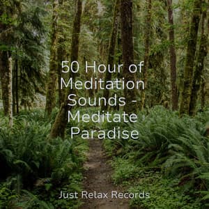 50 Hour of Meditation Sounds - Meditate Paradise - Preschool Kids