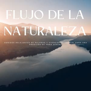 Flujo De La Naturaleza: Sonidos Relajantes De Pájaros Y Cuencos De Cristal Para Una Práctica De Yoga Serena - Sonidos Naturales del Pajaro