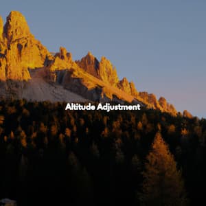 Altitude Adjustment - Mattina Jazz