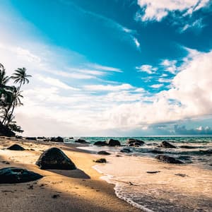 1 Coastal Night: Cascading Waters - Coastal Sounds