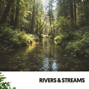 Rivers & Streams: Melodies of Flowing Waters - Ruido Blanco Hart