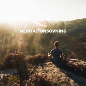 Meditationsövning: Naturliga ljud för att stimulera mindfulness - Mindfulness meditation världen