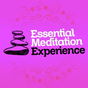 Essential Meditation Experience - New World Meditation