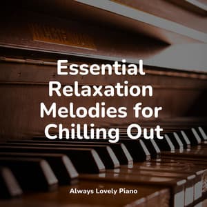 50 Best Soothing Piano Melodies - Peaceful Piano Chillout