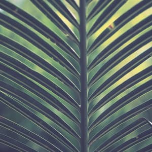 Sleepy Collection | Deep Sleep - Spa & Spa