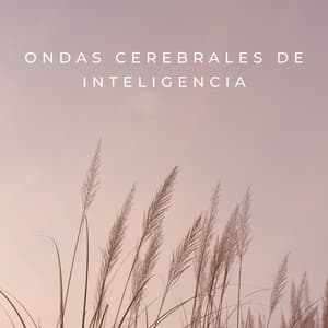Ondas Cerebrales De Inteligencia - Música Inteligente