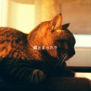 猫とまったり - Musique pour Cuisiner