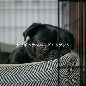 犬と朝のランニング・トラック - Sleepy Dogs