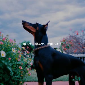 感じて、学んで、表現しよう - Musica Jazz di Sottofondo