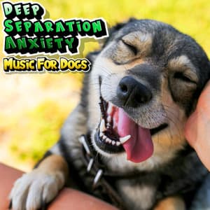 Have A Relaxed Dog Chill Music For Easily Stressed Dogs - Deep Separation Anxiety Music For Dogs