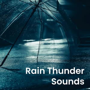 Rain Thunder Sounds - Deep Sleep Nature Sounds