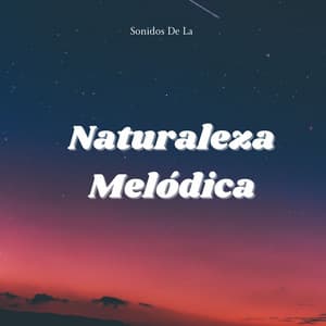 Sonidos De La Naturaleza Melódica - Canal de la Naturaleza sin Interrupción