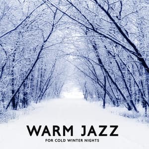 Warm Jazz for Cold Winter Nights: Saxophone Music with Ambient Piano, Relax Time - Stockholm Jazz Quartet