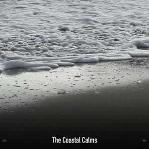 !!!!" The Coastal Calms "!!!! - Ocean Waves