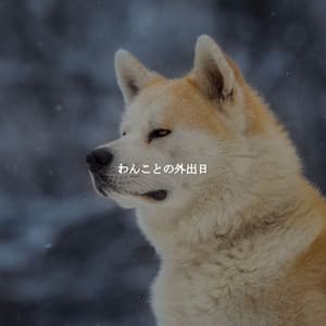 わんことの外出日 - Bossa Nova Brazil