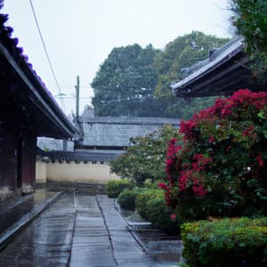 Rainy Temple Walk - Asian Lofi