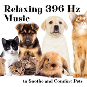 Relaxing 396 Hz Music to Soothe and Comfort Pets - Jazz Pets Relax