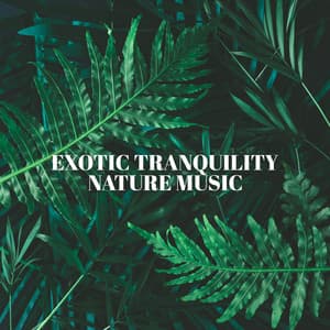 Exotic Tranquility: Relaxing Exotic Nature Music to Overcome Anxiety and Fall Asleep Quickly - Inspiring Tranquil Sounds
