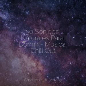 50 Sonidos Naturales Para Dormir - Música Chill Out - Dormir