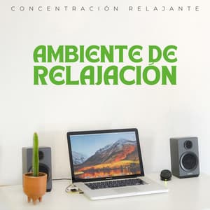 Ambiente De Relajación: Concentración Relajante - Effectum