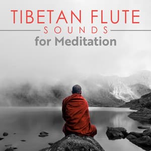 Tibetan Flute Sounds for Introspection - Ele Prashna