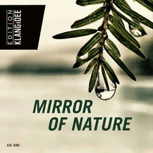 Mirror Of Nature - Tony Delmonte