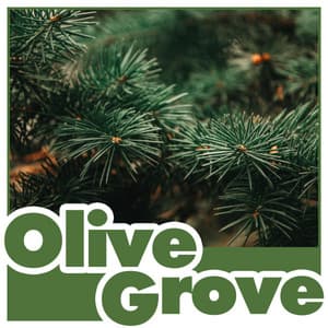 Olive Grove - Natures Orchestra