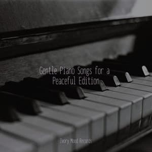Gentle Piano Songs for a Peaceful Edition - Ivory Mood