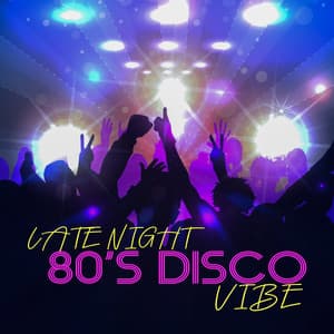 Late Night 80’s Disco Vibe - Party Topic Club