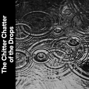 The Chitter Chatter of the Drops - Always Raining